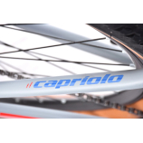 Capriolo MTB LC 29-3 29er kerékpár 21" Szürke