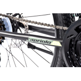 Capriolo CTX 240 24" gyerek kerékpár Fekete-Zöld
