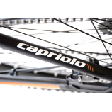 Capriolo MTB LC 29-3 29er kerékpár 21" Fekete