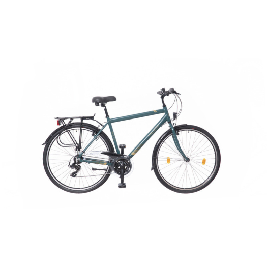 Neuzer Ravenna 50 férfi 19" trekking kerékpár Zöld